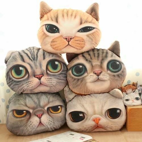 Cat Pillows-Gifts-vitalmag5