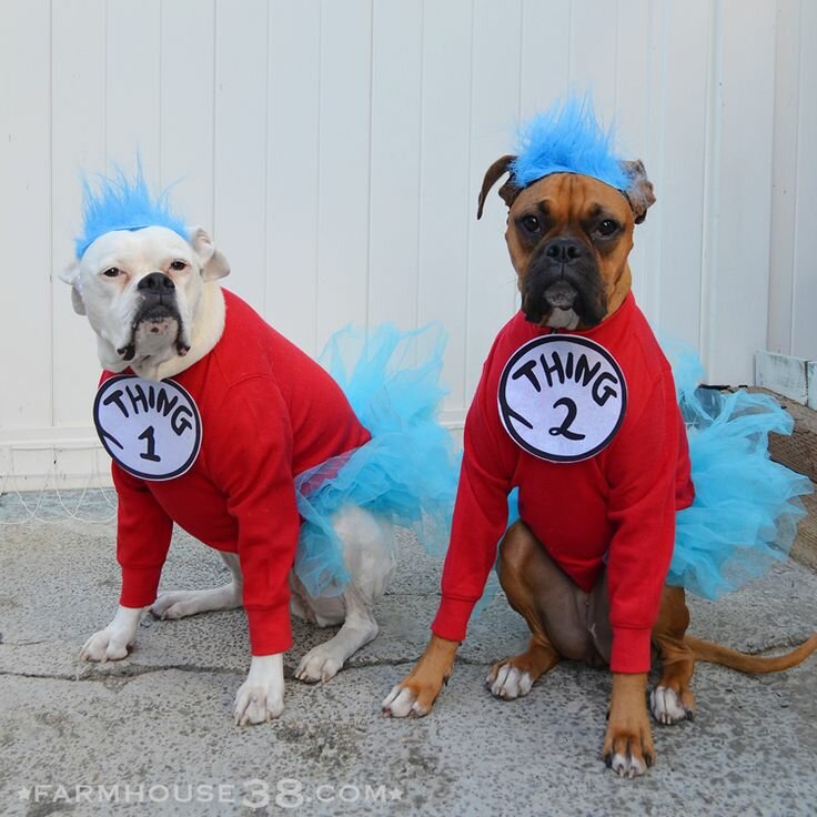 Halloween Costumes for Dogs-vitalmag1