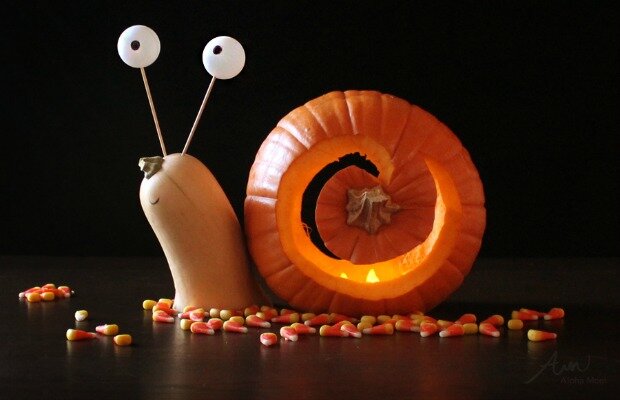 The best Pumpkin Decorating Ideas7