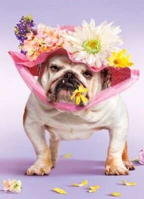 Happy Easter-Cute Animals-Vitalmag Trend Magazine3